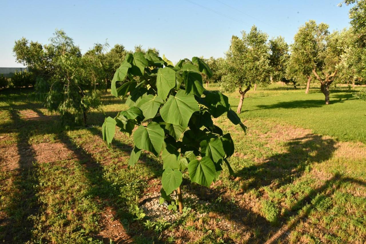 Tenuta Corano Nardo Villa Esterno foto