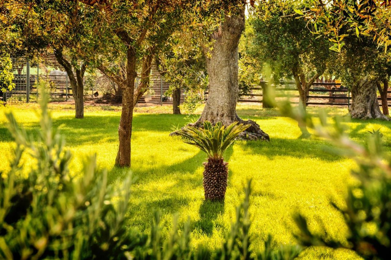 Tenuta Corano Nardo Villa Esterno foto